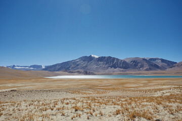 Golden grass with snow mountain