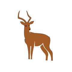 deer illustration