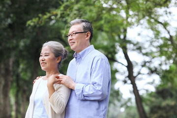 Happy old couple walking in the park