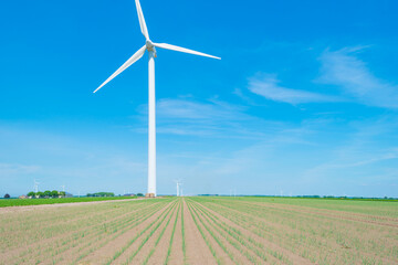 Wind turbine under construction in an agricultural field with vegetables below a blue sky in springtime, Almere, Flevoland, Netherlands, June 10, 2021