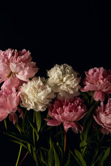 flower arrangement of pink and white peonies on a dark background close-up. moody floral, flat lay with place for text