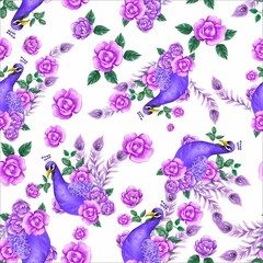 Illustration for peacock prints with beautiful florals and leaves