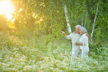 beautiful senior couple  posing in the park