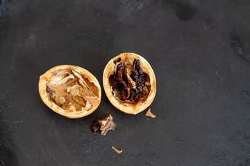 Rotten walnut with black background. Dried and spoiled walnut kernel