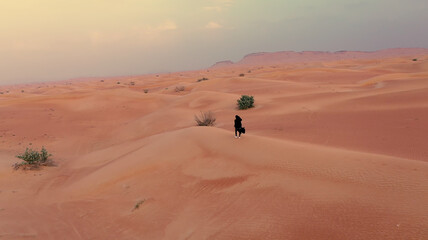 Fototapeta na wymiar AERIAL. Camera following woman in traditional Emirati dress walking in a desert in strog wind and sunset.