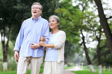 Happy old couple walking in the park