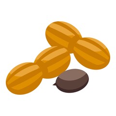 Hazelnut protein icon. Isometric of Hazelnut protein vector icon for web design isolated on white background