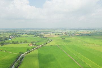 Fototapeta na wymiar Field rice with landscape green pattern nature background