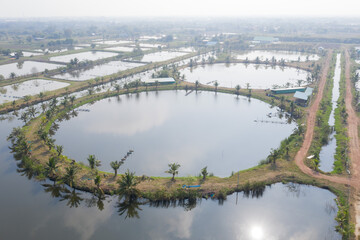 Fototapeta na wymiar Aerial view from flying drone of Fish pond, fish farm