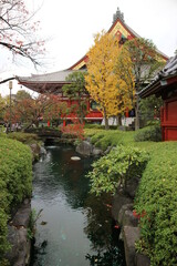 Fototapeta premium japan temple