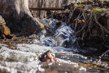 Obraz premium A beautiful small waterfall in the forest, the water flows rapidly over the stones. A streamlet in the forest, a bridge over the stream.