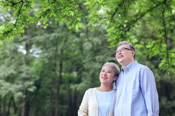 Fototapeta premium Happy old couple looking at the scenery in the park