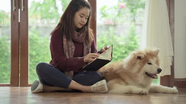 beautiful Asian woman reading in the living room overlooking the backyard lawn with her Akita Inu dog pet.
