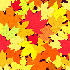 Seamless pattern. Autumn leaves of different types of maple and different shades. Background from autumn leaves.