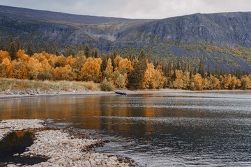 Autumn colorful forest are reflected in the surface of the lake. Kola Peninsula, Lovozero