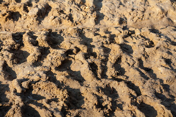 A wavy clay surface at a construction site is photographed in the setting sun.