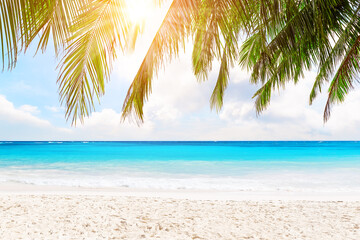 Obraz na płótnie Canvas Coconut palm leaves against blue sky and beautiful beach in Phuket, Thailand.