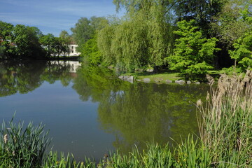 Fototapeta na wymiar Pond in village Lešany near Týnec nad Sázavu, Central Bohemia, Czech republic,Europe 