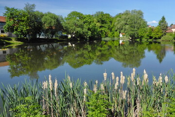 Obraz premium Pond in village Lešany near Týnec nad Sázavu, Central Bohemia, Czech republic,Europe 