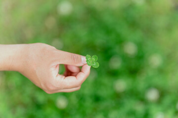 He is holding a four-leaf clover in his hand.