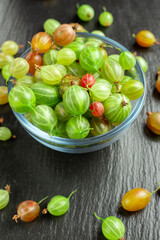 Ripe gooseberry in a glass plate, place for text,  summer harvest of berries