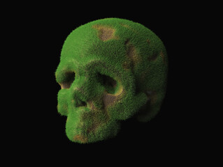 an old abandoned skull overgrown with grass with patches of brown earth. Abstract 3d illustration about y sliding time