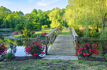 Private Garden with Pond and Knock Out Roses