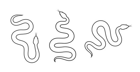 Snake outline. Isolated snake on white background