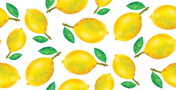 Seamless citrus pattern. Hand drawn illustration with lemons.