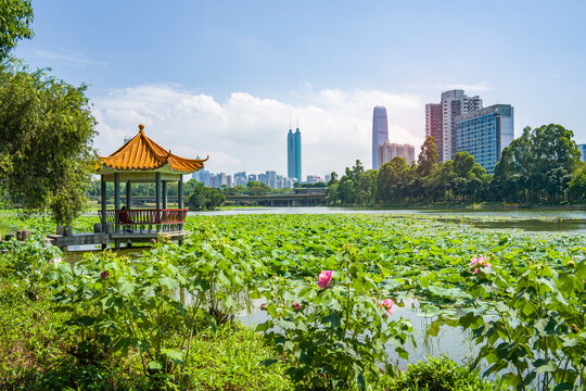 Honghu Park in Shenzhen,city skyline landscape with beautiful lake and Chinese pavilion.
