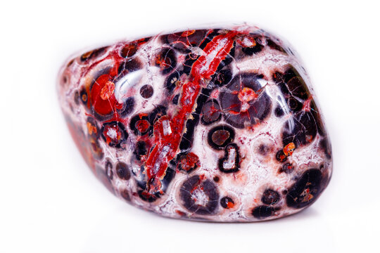 Macro mineral stone Jasper leopard on white background