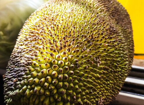 Spiky fruit online