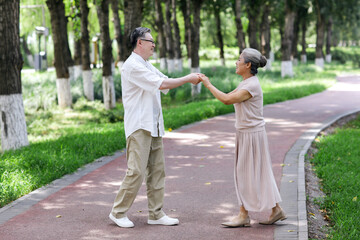 Happy old couple dancing in the park