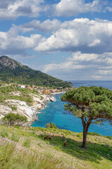 Blick auf den Küstenort Pomonte,Insel Elba,Toskana,Mittelmeer,Italien