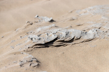 Closeup small cracked stone in dry desert area, Tottori Sand Dunes.