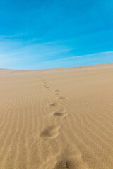 Footprints on dry desert area with nobody in sunny day, Tottori Sand Dunes.