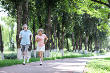Obraz premium Old couple jogging in outdoor park