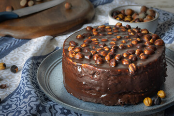 Homemade cold chocolate cake with hazelnuts, chocolate dessert background, close up