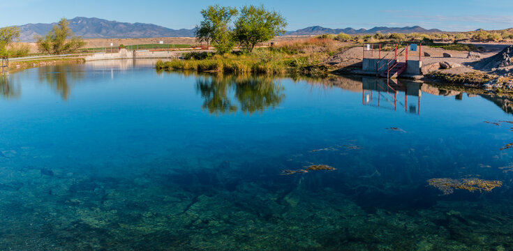 The Clear Water of Panaca Warm Springs, Panaca, Nevada, USA
