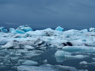 iceberg in polar regions - 