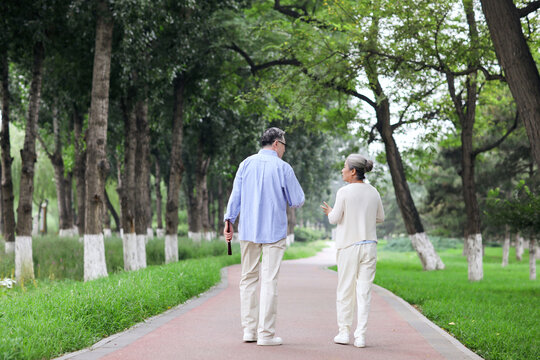 Happy old couple walking in the park