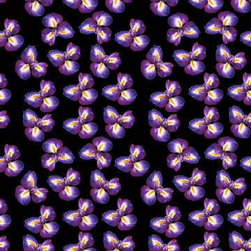 Seamless pattern with bright purple hand-drawn irises on a black background. This image can be used to create textiles, backgrounds, stationery and more.