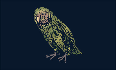 kakapo on dark background