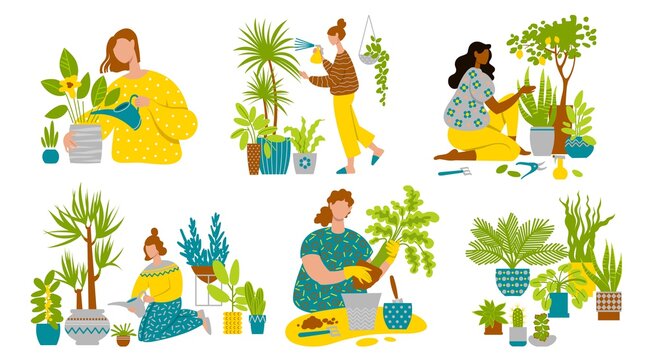 Set of women caring for houseplants. Flat image isolated on white background. Home gardening includes growing, watering, transplanting, spraying, pruning houseplants. 