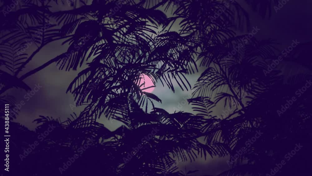 Wall mural the full moon peeps through the branches of palm trees and exotic trees on the seashore. background 