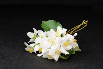 Naklejka na ściany i meble jasmine flower bouquet