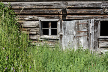 Ein altes Holzhaus mitten in einer Bergwiese im hohen Gras