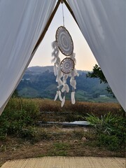 camp bohemia