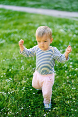 Kid walks on a green lawn with daisies