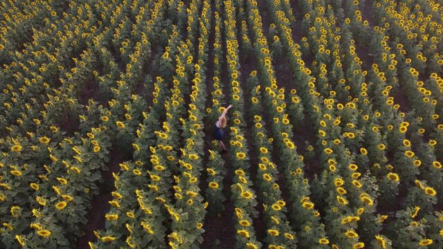 Chica joven rubia en medio de un campo de girasoles posando desde vista de drone